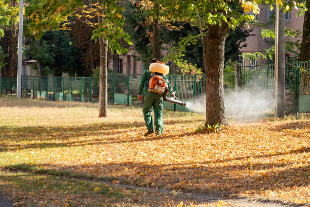 Best Residential Pest Control  in Gang Mills, NY